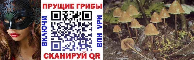 где купить наркоту  Медынь  Псилоцибиновые грибы ЛСД 